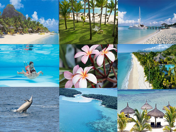 Tour operators in Mauritius